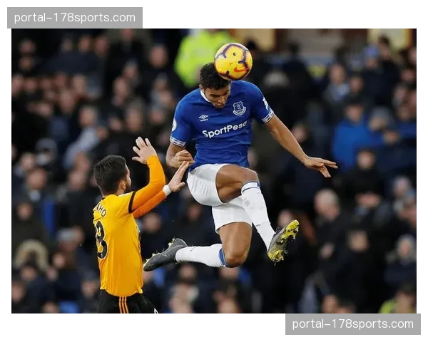 实时:埃弗顿对阵狼队,比赛因球员受伤治疗中断总计超过8分钟 实时:埃弗顿对阵狼队,比赛因球员受伤治疗中断总计超过8分钟